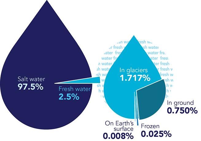 what percent of water on earth is potable