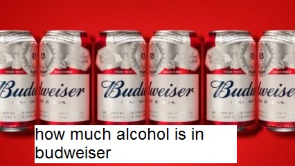 how much alcohol is in budweiser