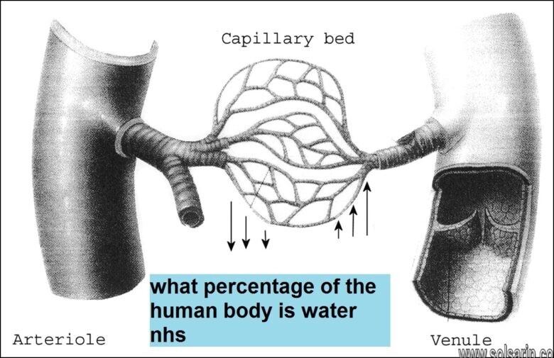 what percentage of the human body is water nhs