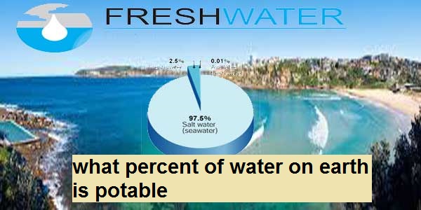 what percent of water on earth is potable
