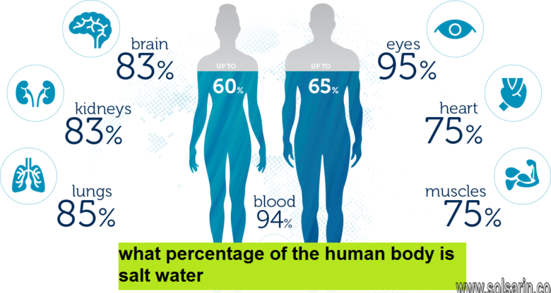 what percentage of the human body is salt water
