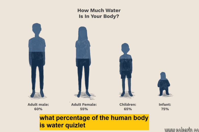 what percentage of the human body is water quizlet