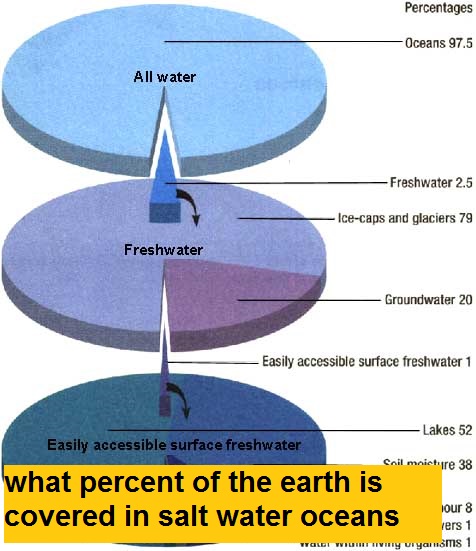 what percent of the earth is covered in salt water oceans
