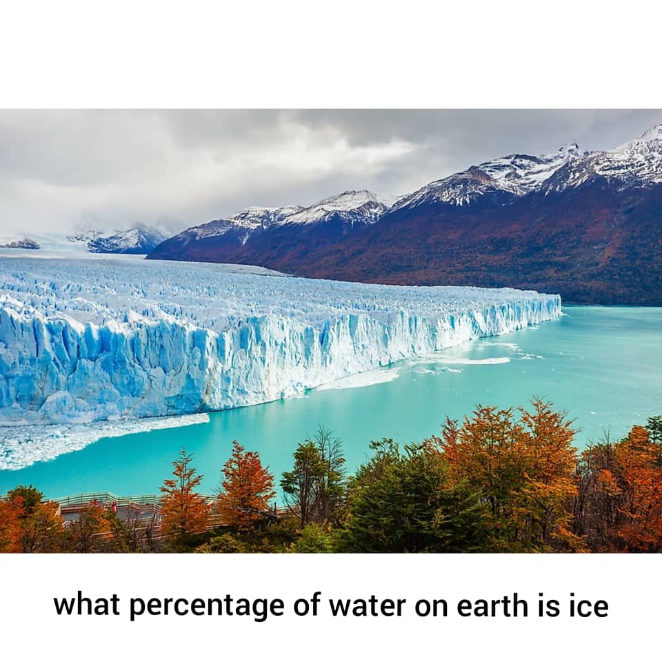 what percentage of water on earth is ice