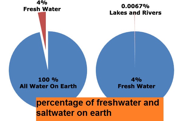 percentage of freshwater and saltwater on earth