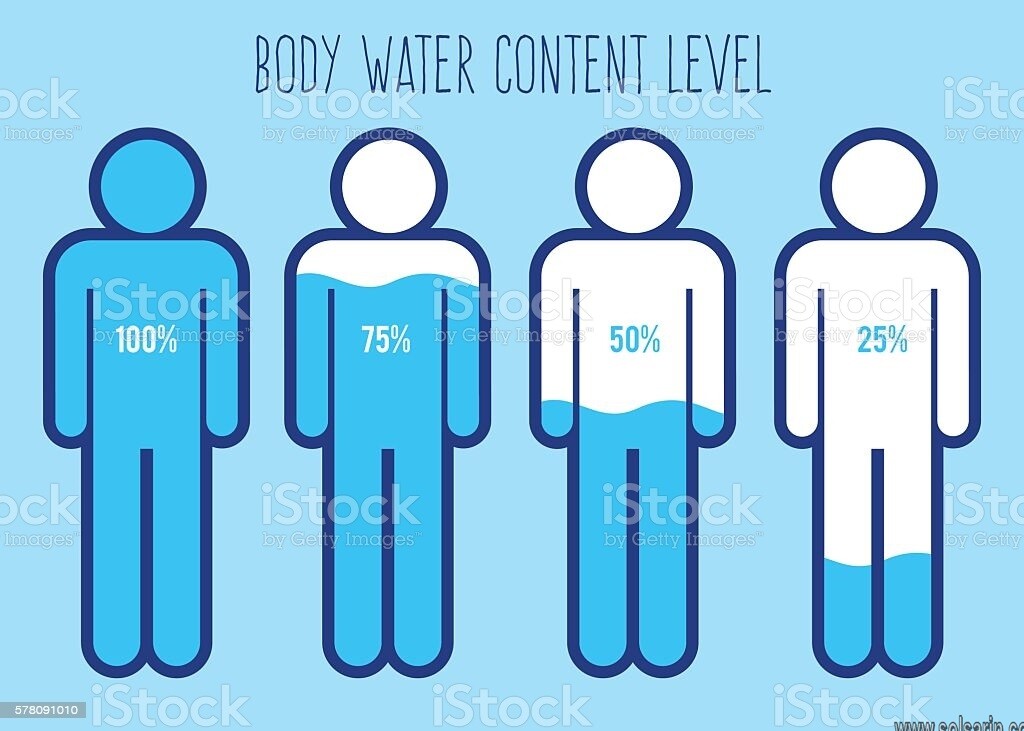 how to calculate percentage of water in human body