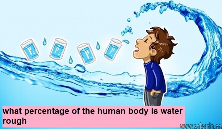 what percentage of the human body is water rough