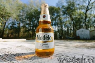 how much percent of alcohol is in modelo beer