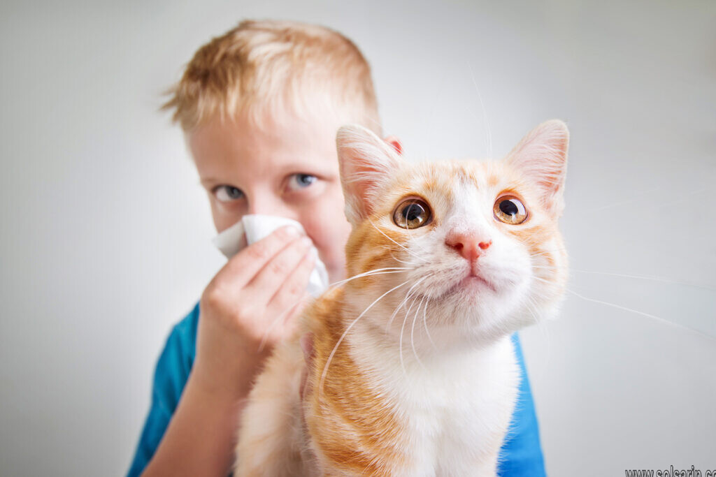 how to treat cat allergies naturally