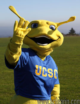university of california santa cruz mascot