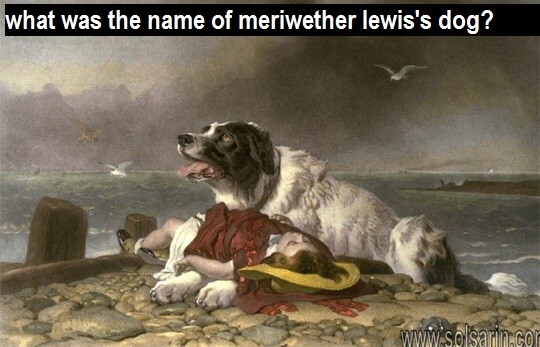 what was the name of meriwether lewis's dog?
