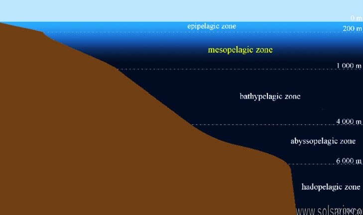 what is the mesopelagic zone?