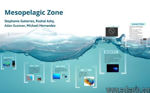what is the mesopelagic zone?