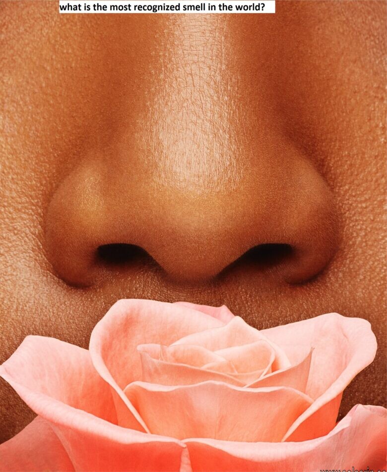 what is the most recognized smell in the world?