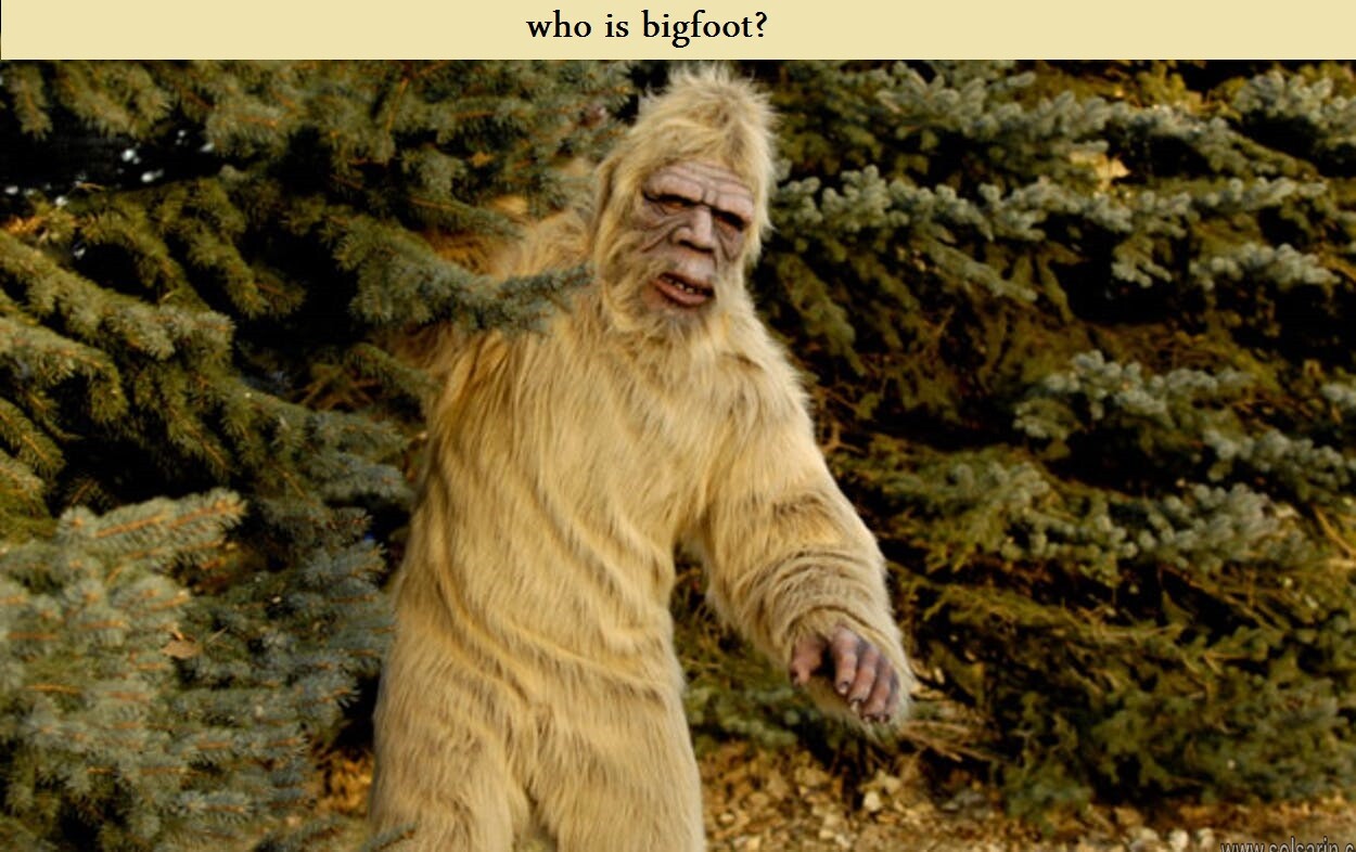 who is bigfoot?