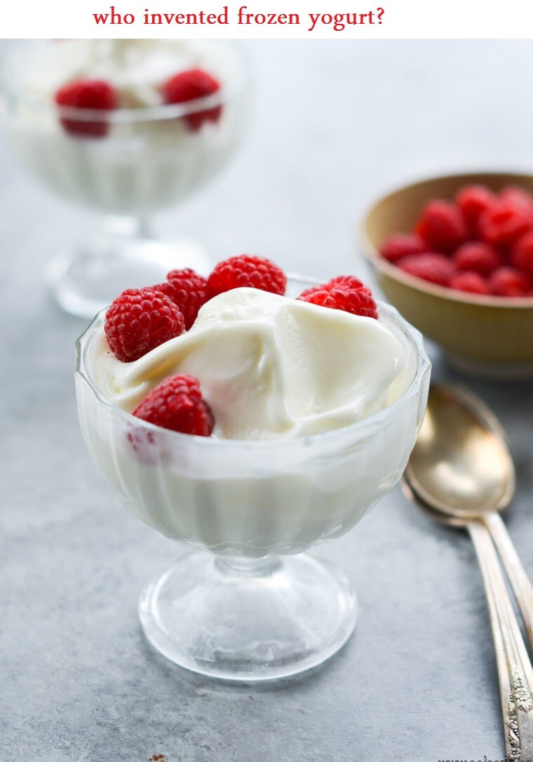 who invented frozen yogurt?