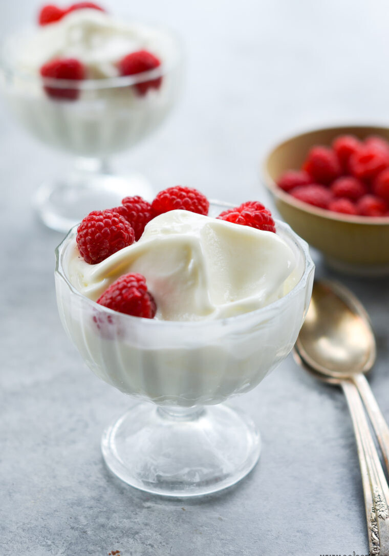 who invented frozen yogurt?
