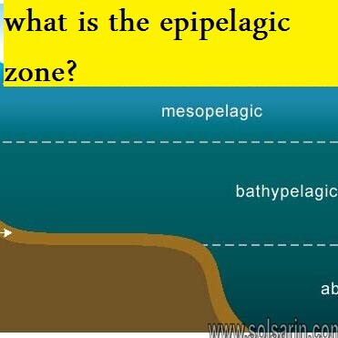 what is the epipelagic zone?