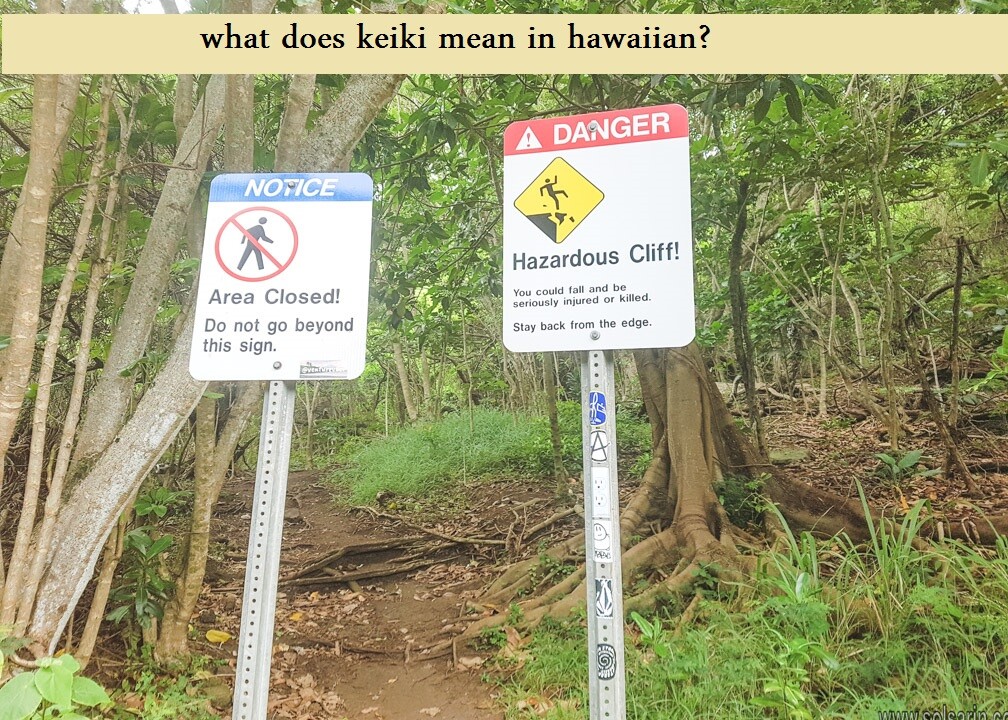 what does keiki mean in hawaiian?