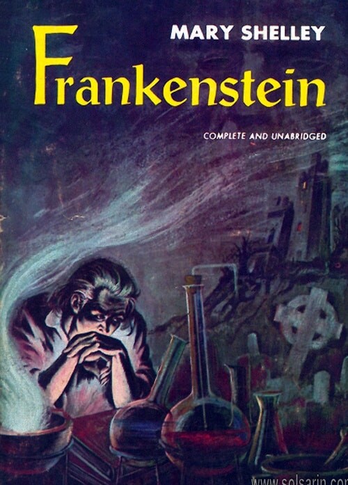 what is the novel frankenstein really about
