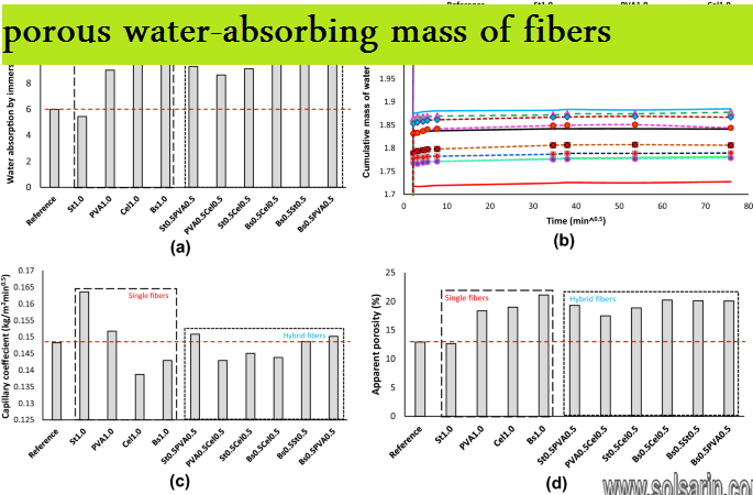 porous water-absorbing mass of fibers