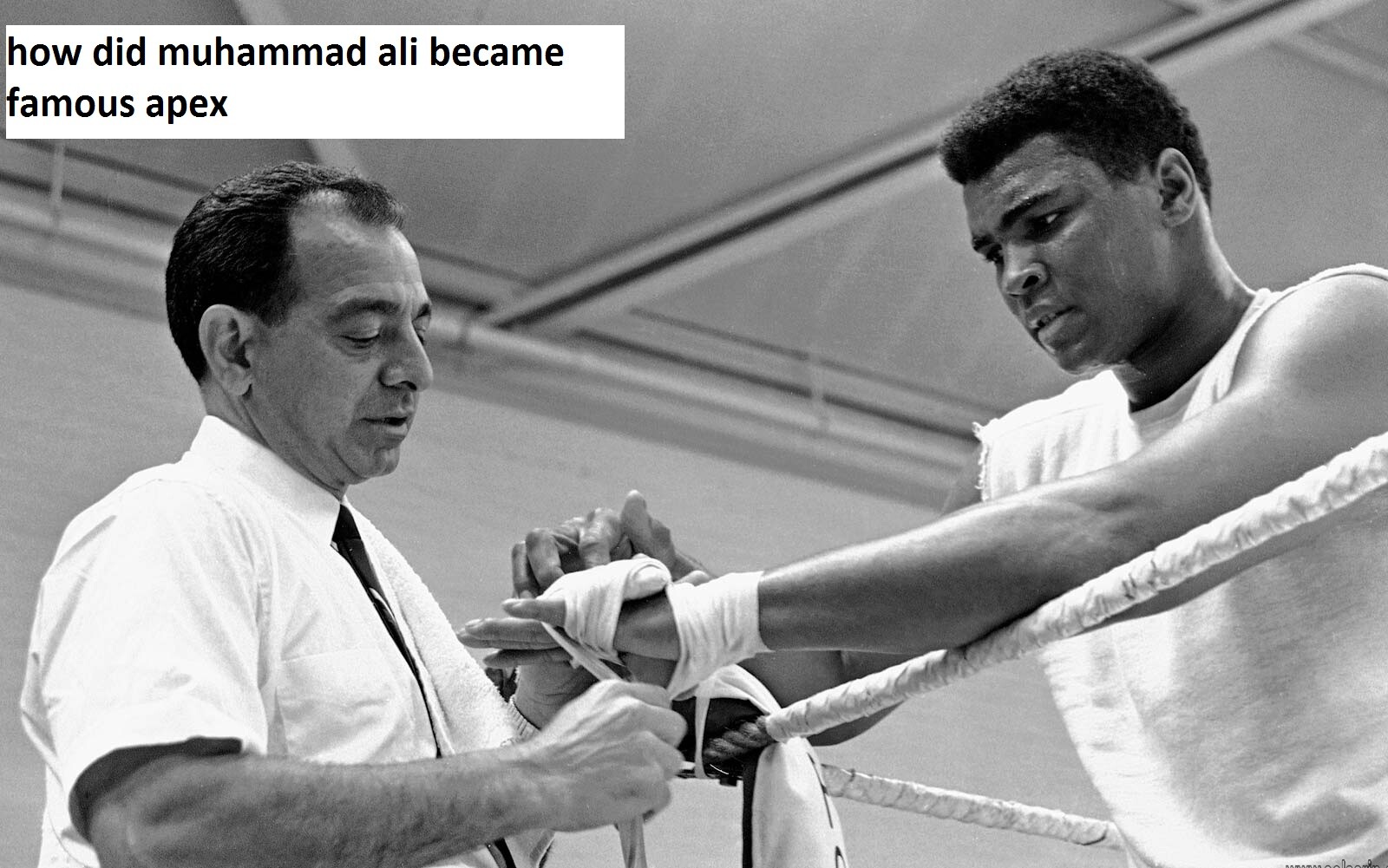 how did muhammad ali became famous apex