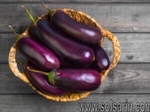 is eggplant a nightshade vegetable?