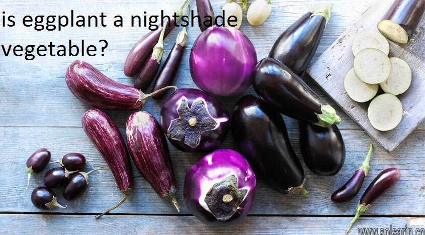 is eggplant a nightshade vegetable?