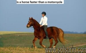 is a horse faster than a motorcycle