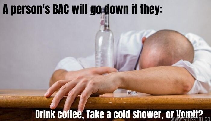 a person’s bac will go down if they