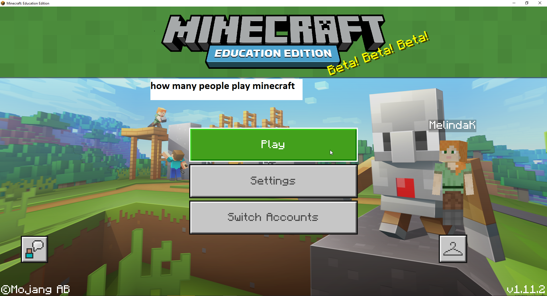 how many people play minecraft