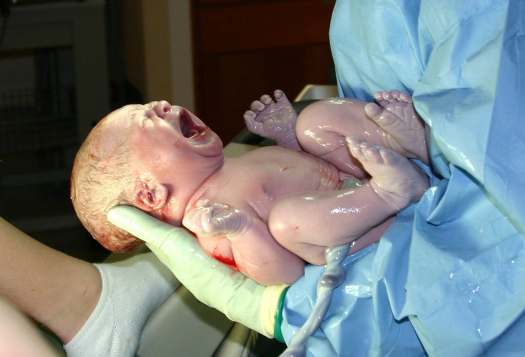 the study of disorders of the newborn