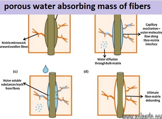 porous water absorbing mass of fibers