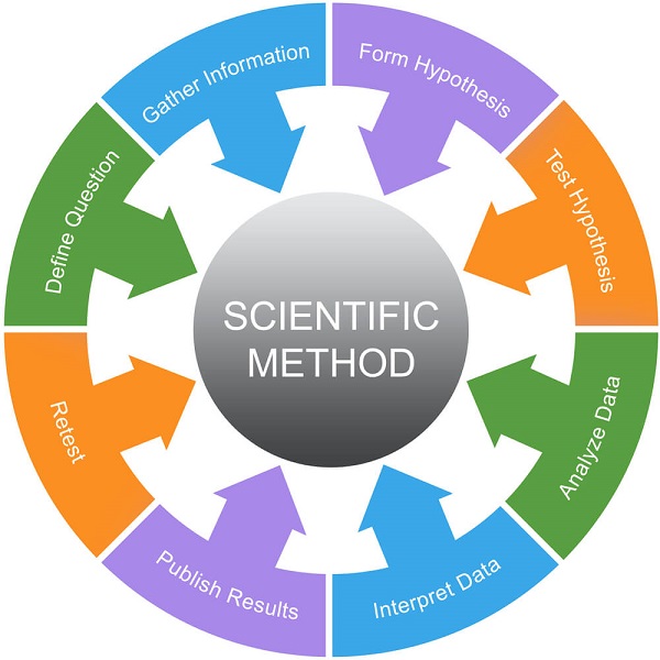 7 steps scientific method order