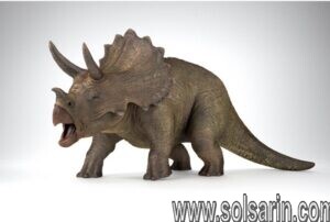 why was this dinosaur called "triceratops"?