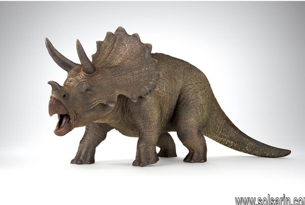 why was this dinosaur called "triceratops"?