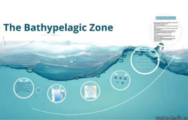 what is the bathypelagic zone?