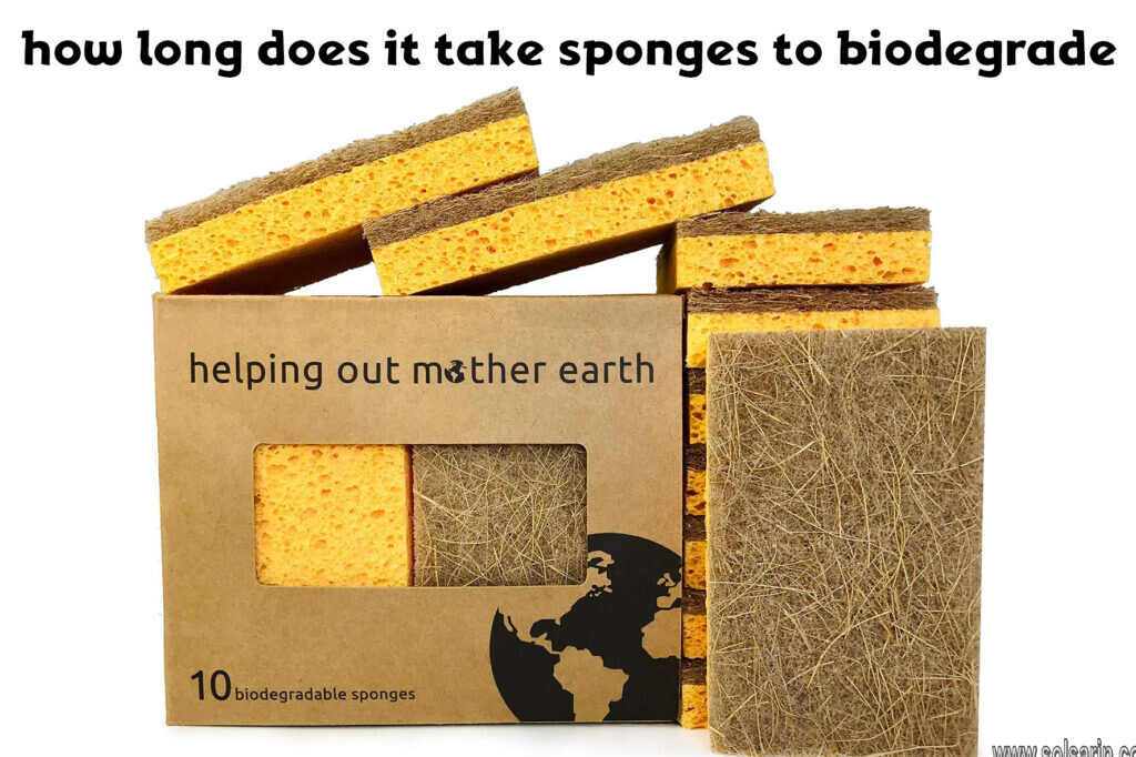 how long does it take sponges to biodegrade