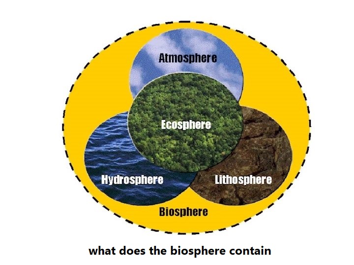 what does the biosphere contain