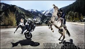 is a horse faster than a motorcycle