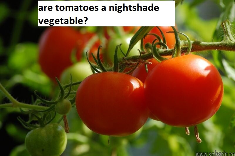 are tomatoes a nightshade vegetable?
