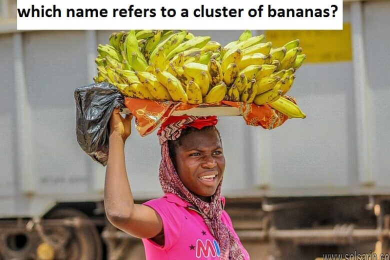 which name refers to a cluster of bananas?