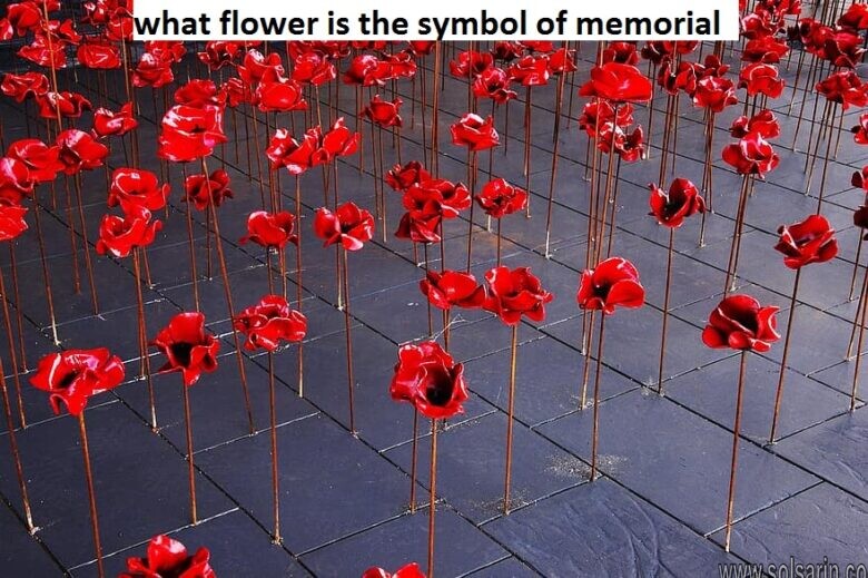 what flower is the symbol of memorial day?