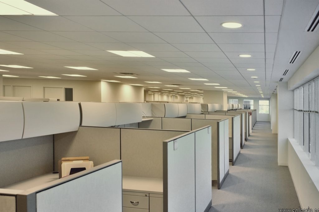 an office is divided into 8 cubicles. how many