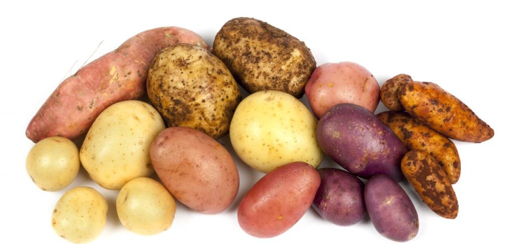 what country did potatoes originate?
