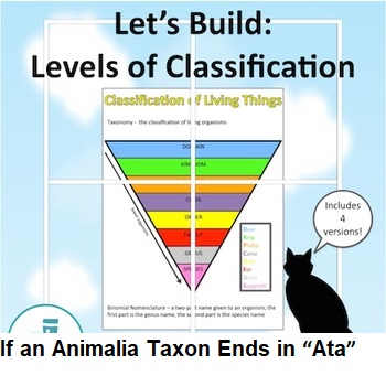If an Animalia Taxon Ends in “Ata”