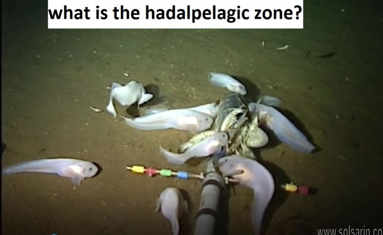 what is the hadalpelagic zone?