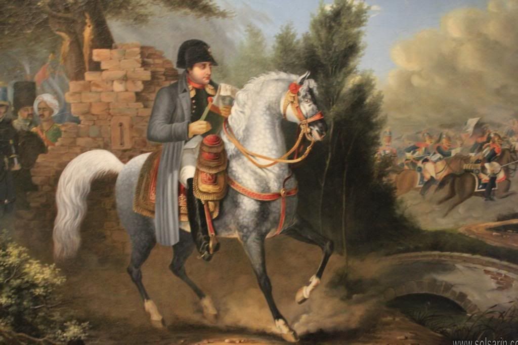 what color is napoleon's white horse