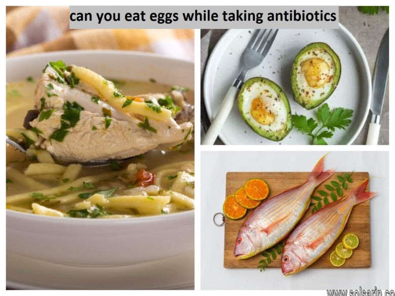 can you eat eggs while taking antibiotics