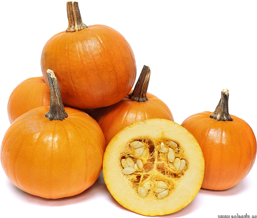is pumpkin a fruit or vegetable